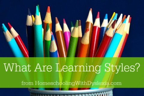 What Are Learning Styles