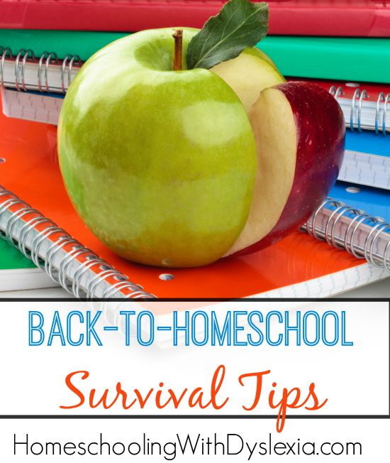 Back to School Survival Tips