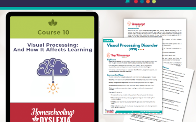 Course 10: Visual Processing: Transcript & Key Takeaways