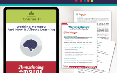 Course 11: Working Memory: Transcript & Key Takeaways