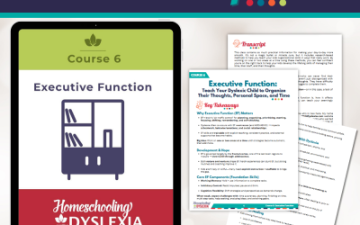 Course 6: Executive Function: Transcript & Key Takeaways
