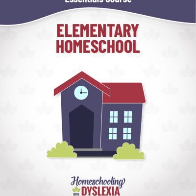 Understand what it is like to homeschool and elementary aged child with dyslexia.