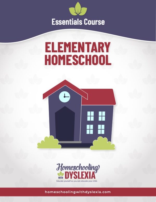 Understand what it is like to homeschool and elementary aged child with dyslexia.