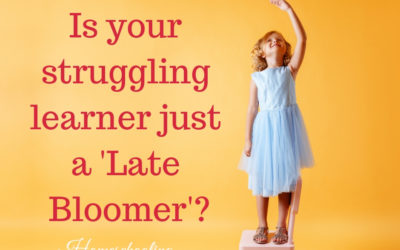 Late Bloomer or Struggling Learner?