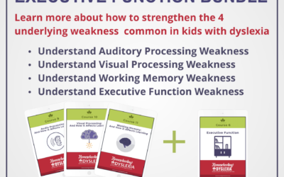 Processing, Memory, and Executive Function Bundle