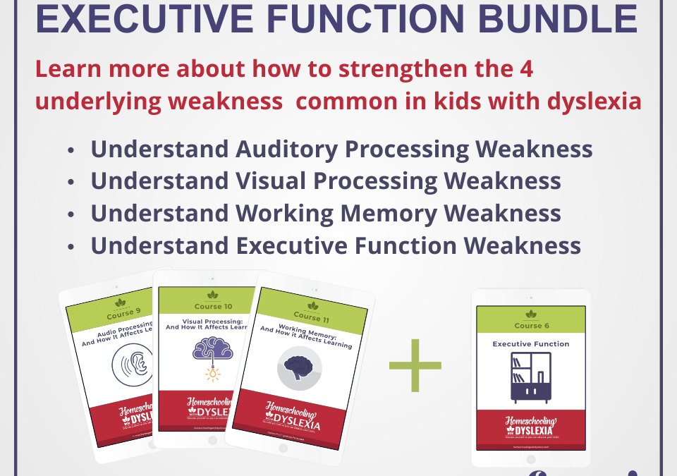 Processing, Memory, and Executive Function Bundle