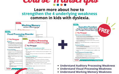 Processing and Working Memory Bundle: Transcripts & Key Takeaways