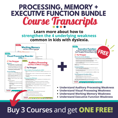 Processing and Working Memory Bundle: Transcripts & Key Takeaways