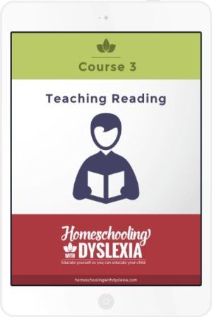 Shop Homeschooling With Dyslexia