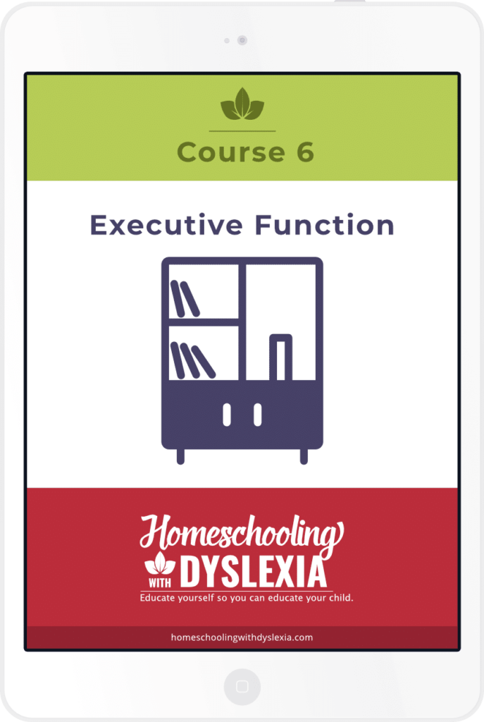 Processing, Memory, and Executive Function Bundle | Homeschooling with ...