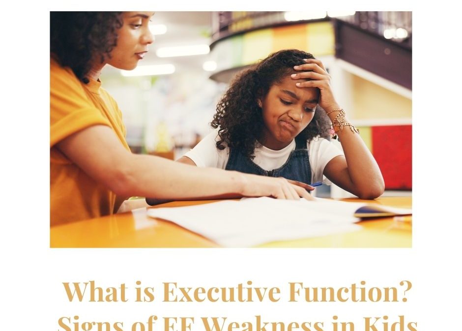 What is Executive Function? Signs of Executive Function Weakness in Kids
