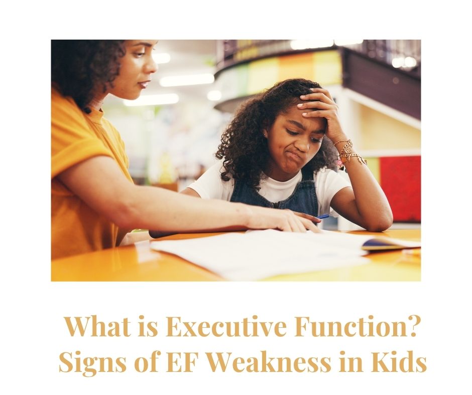 What is Executive Function? Signs of Executive Function Weakness in Kids